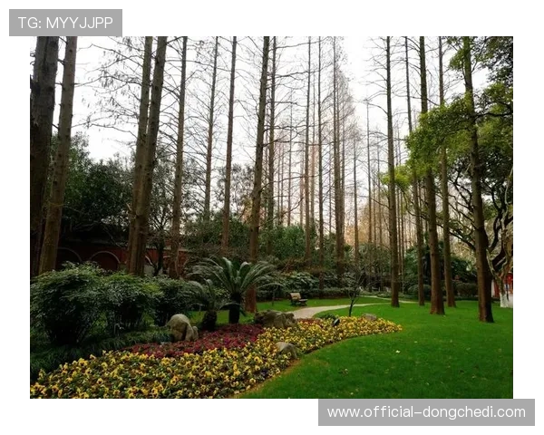 同济学子黄子豪从电车手到F1车检裁判，驭电逐光燃动青春